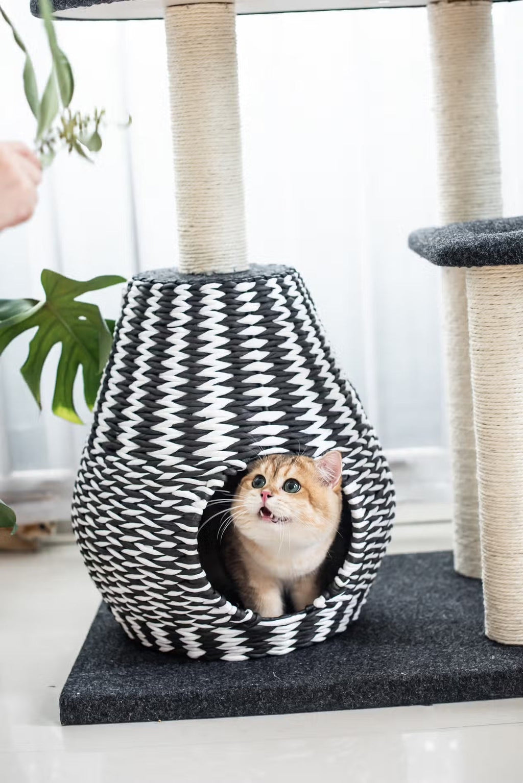 PetPals Ace - Natural, Sustainable Handwoven Cat Tree