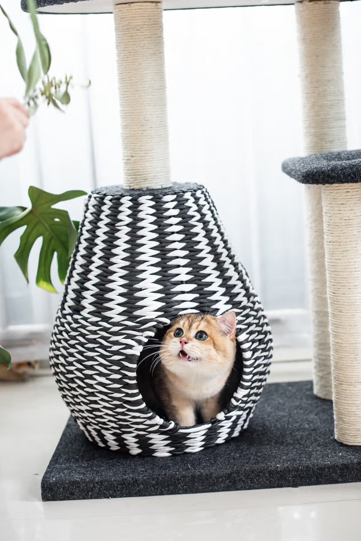 PetPals Ace - Natural, Sustainable Handwoven Cat Tree