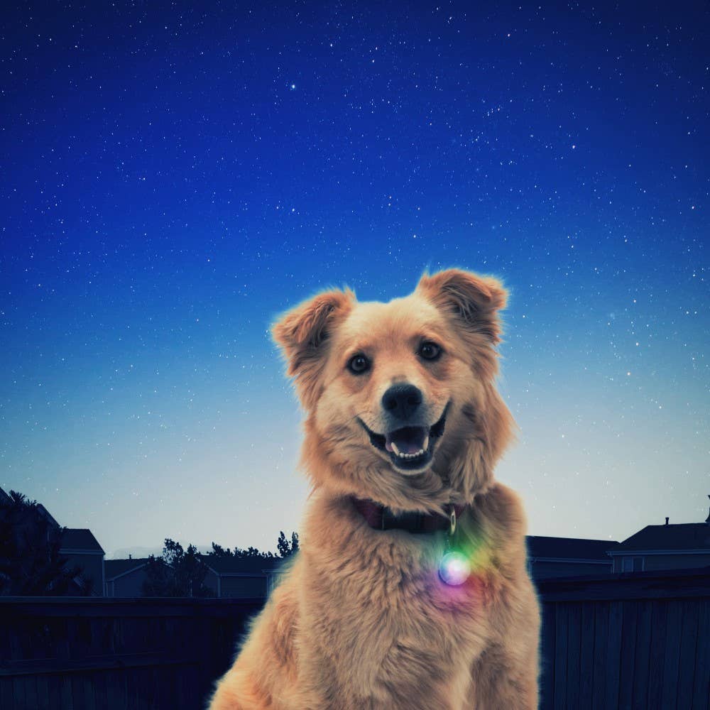 Nite Ize PetLit/SpotLit Collar Light
