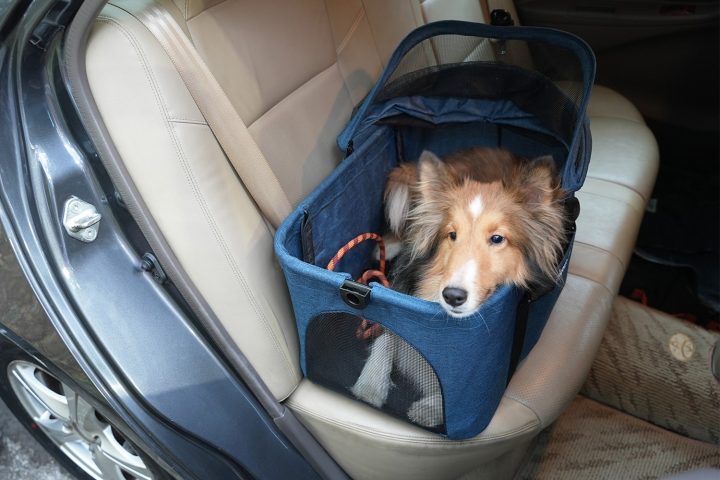 ibiyaya® Essential – Travois Tri-fold Pet Travel System XL, Pet Stroller with Detachable Carrier
