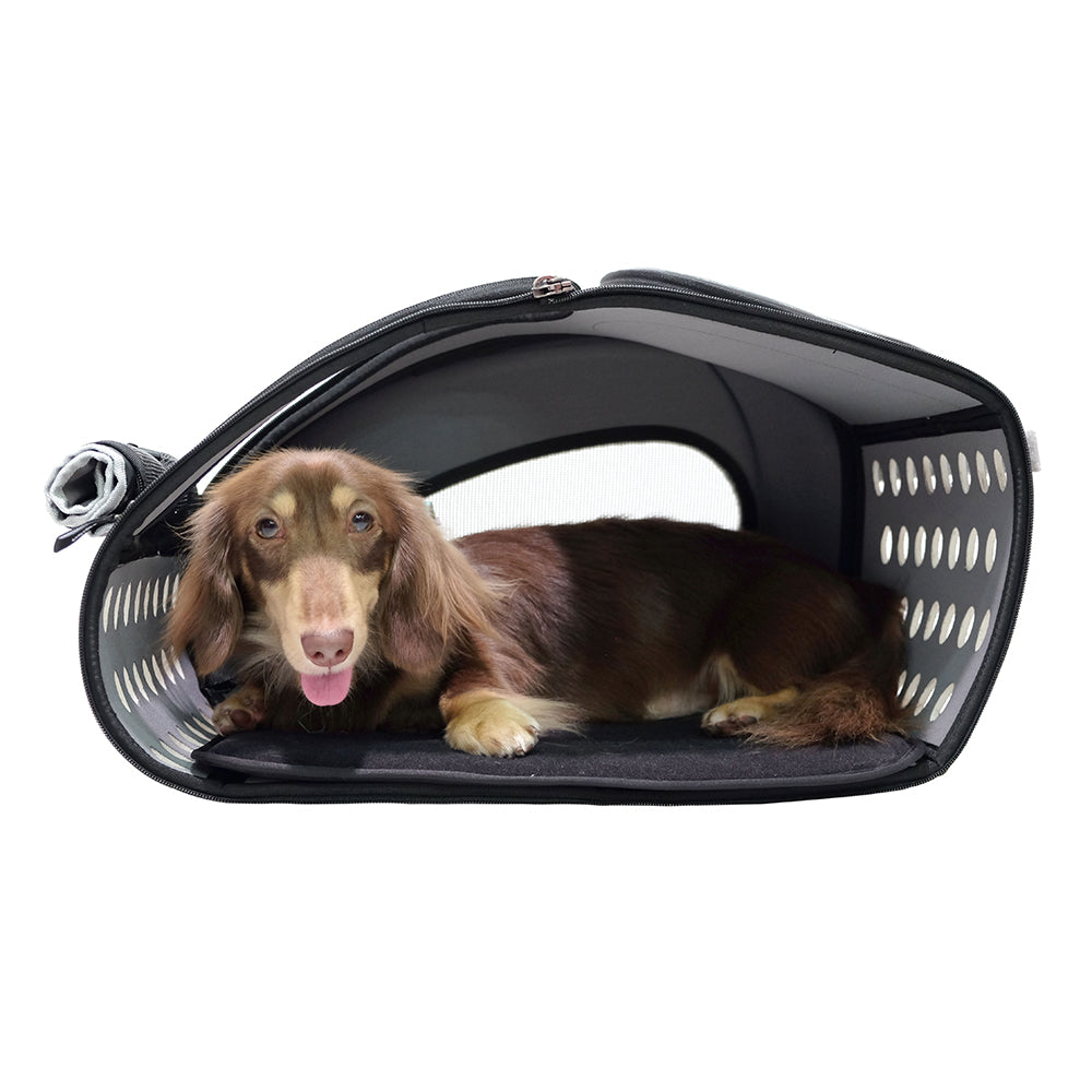 Ibiyaya 5-in-1 EVA Pet Carrier-Stroller, Dog-Cat Sling Bag, Small Backpack with Wheels, Car Seat Booster Combo
