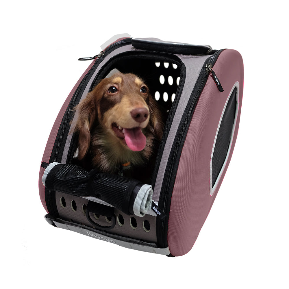 Ibiyaya 5-in-1 EVA Pet Carrier-Stroller, Dog-Cat Sling Bag, Small Backpack with Wheels, Car Seat Booster Combo