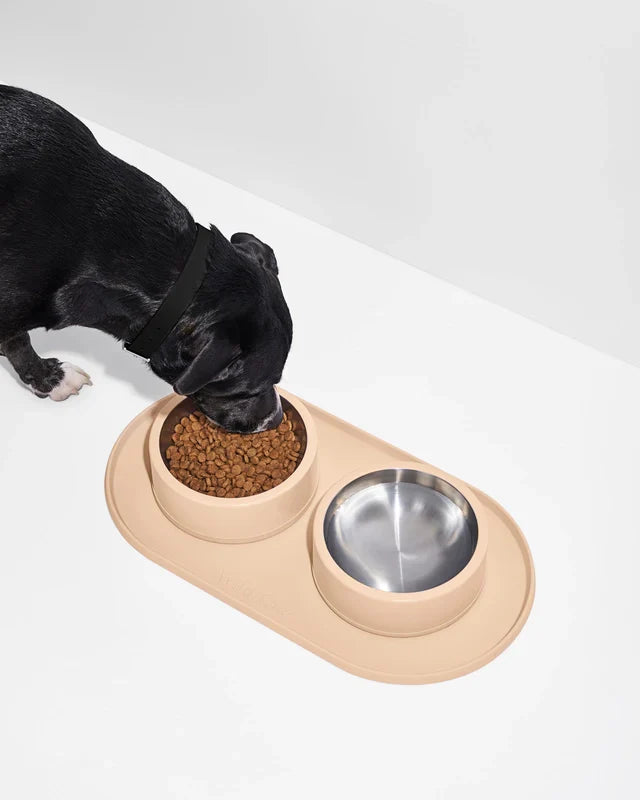 Wild One Silicon Dog Placemat (Bowls Not Included)