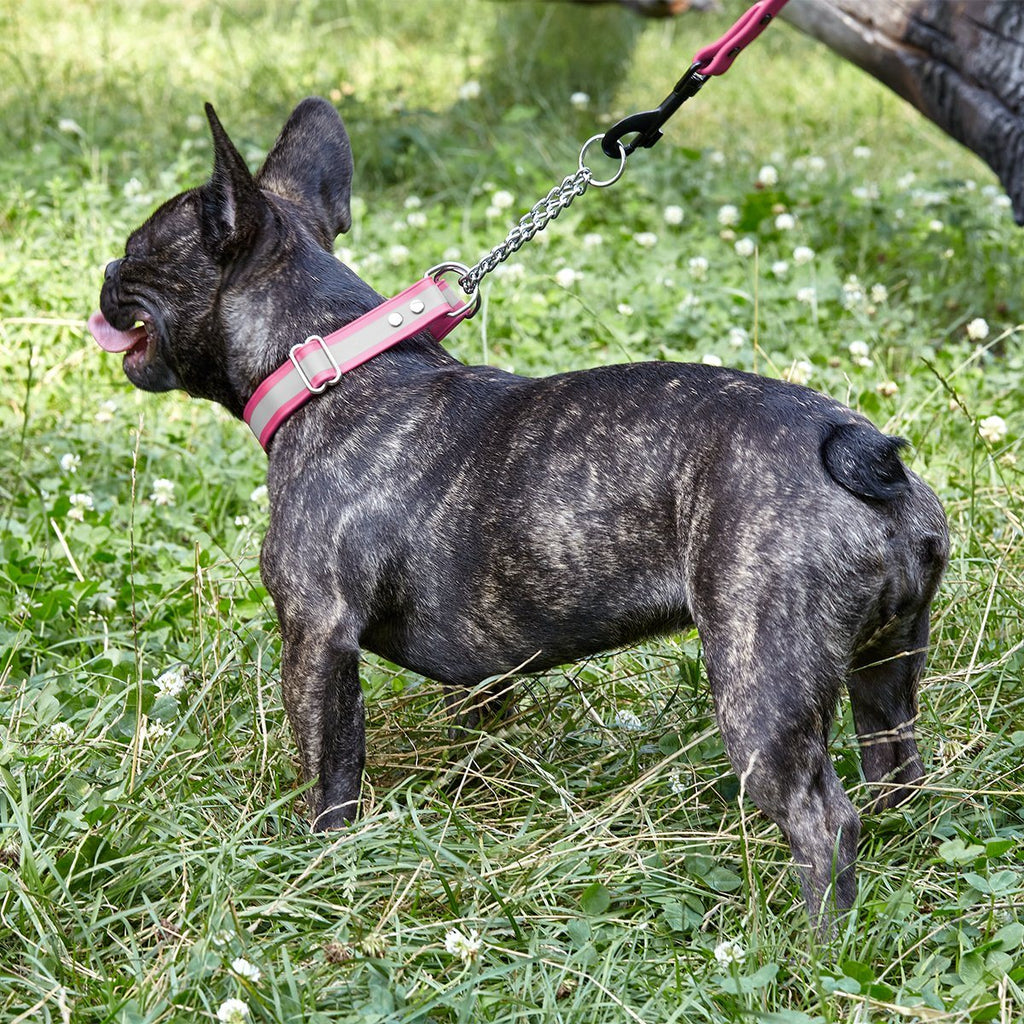 Reflective Biothane Martingale Collar for Dogs