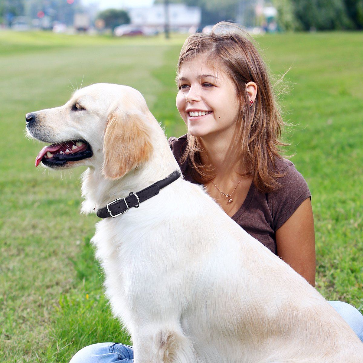Soft Leather Round Dog Collar