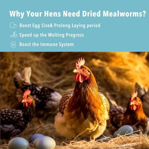 10lb Dried Mealworms for Wild Birds Chickens Feed for Laying Hens,Ducks,Reptiles
