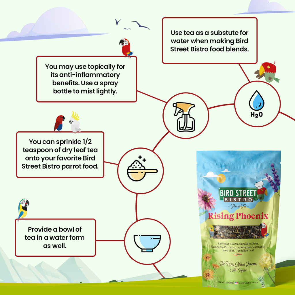 Parrot Food & Tea Starter Pack