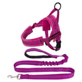 Small Dog Harness and Leash - Fuchsia