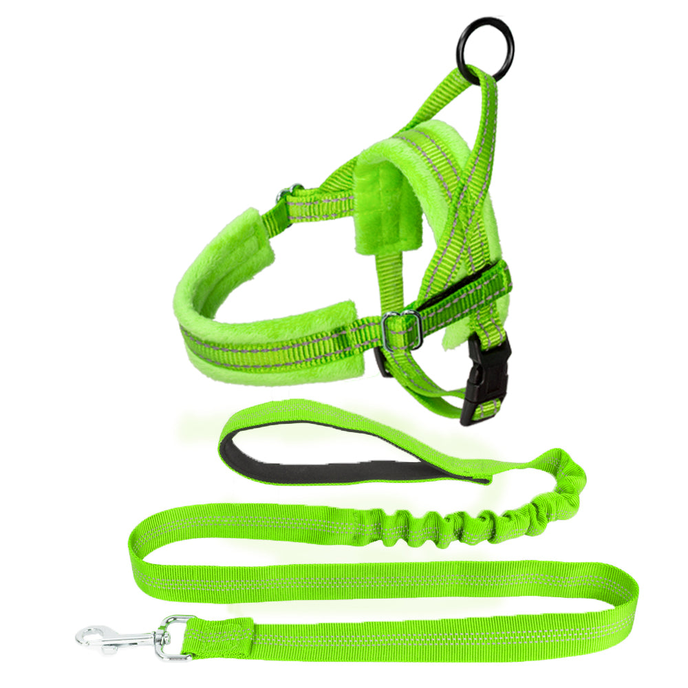 Small Dog Harness and Leash - Green