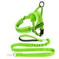 Small Dog Harness and Leash - Green