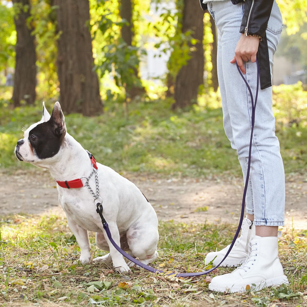 Biothane Waterproof Traffic Lead for Dogs, 2 ft