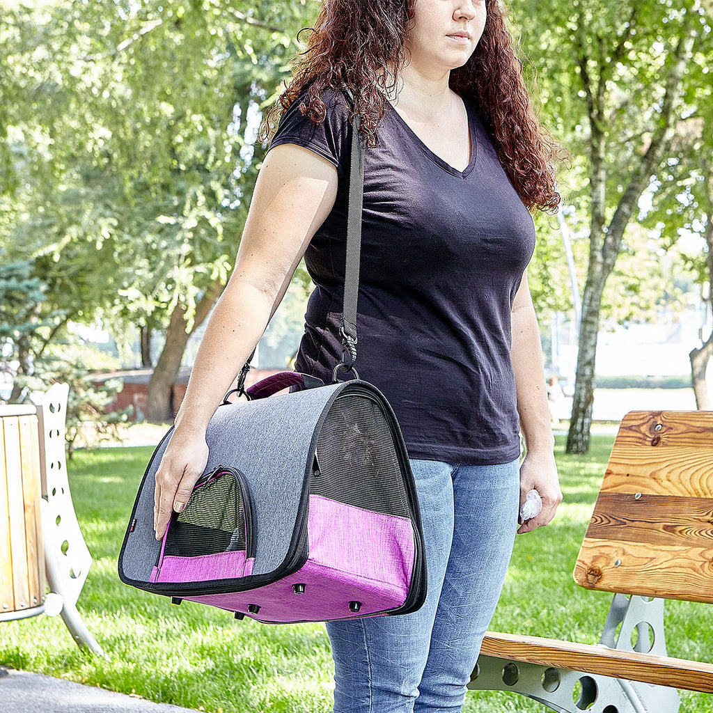 Dogline Dual Color Collapsible Pet Carrier