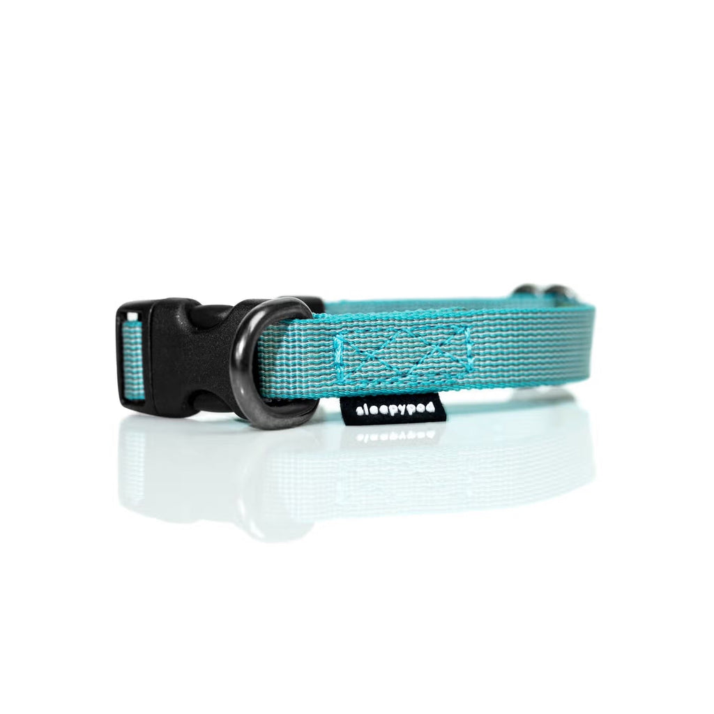 Sleepypod Everyday Collar
