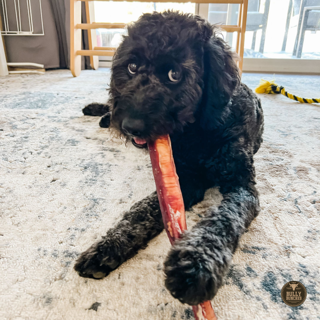 Bully Bunches 12 Inch Monster Bully Stick