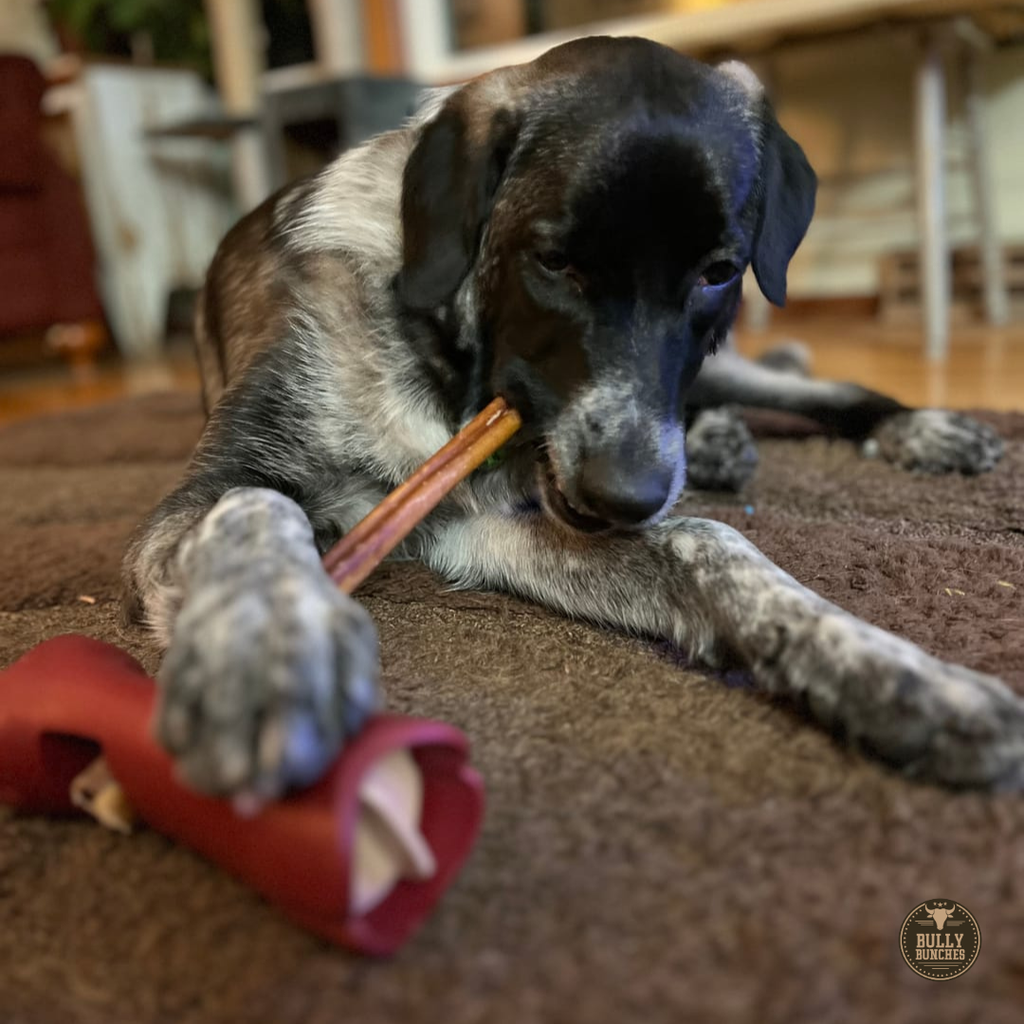 Bully Bunches 12 Inch Standard Bully Stick