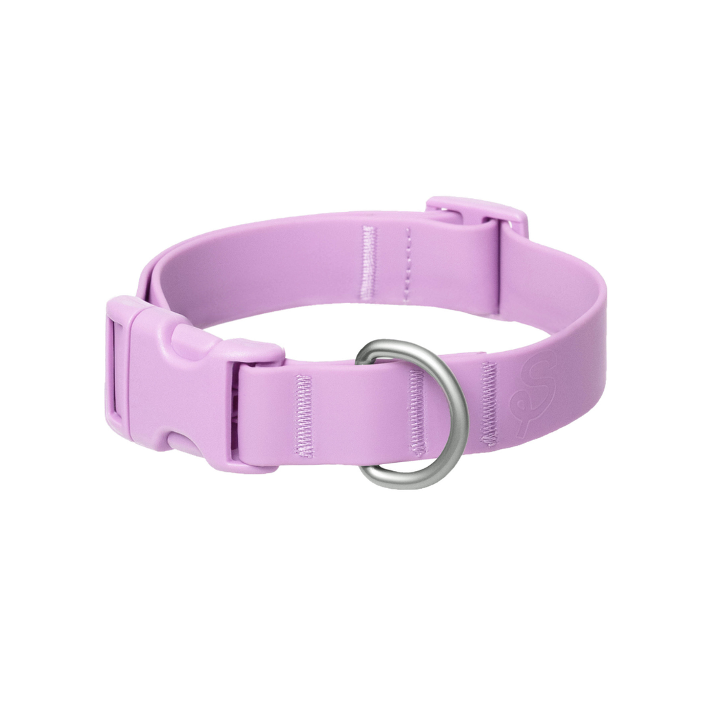 Waterproof Dog Collar