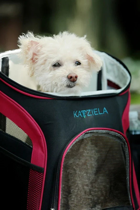Katziela Voyager Airline Compliant Backpack For Dogs and Cats