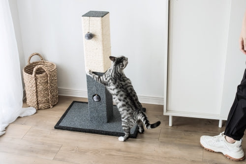 Catry Natural Minimalist Cat Tree Cat Scratching Post with Natural Sisal Rope and Toys