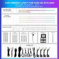 Q8 2019-2020 Ambient Lighting Kit | Rainbow