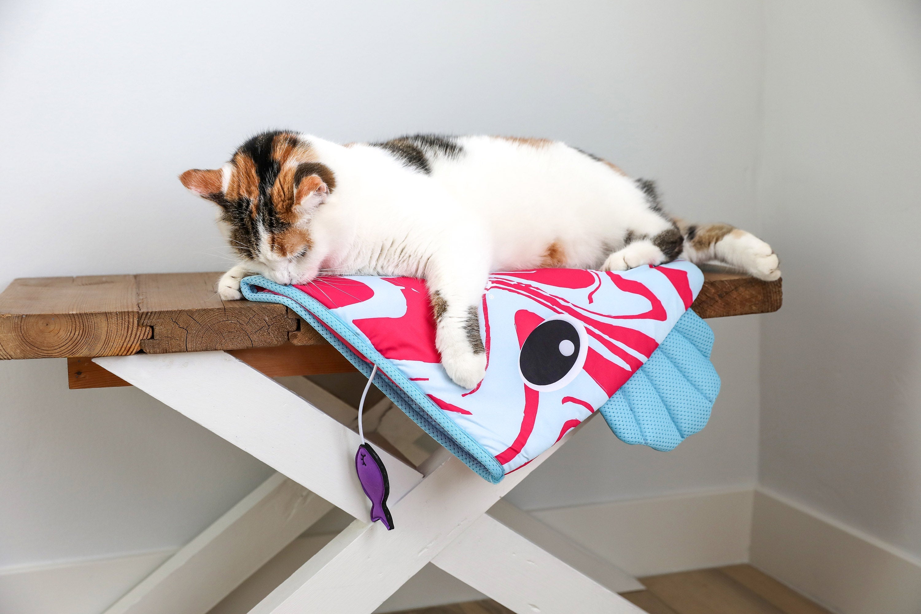 Quirky Kitty® Ocean Cool Mat