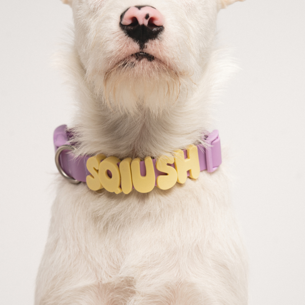 Waterproof Dog Collar