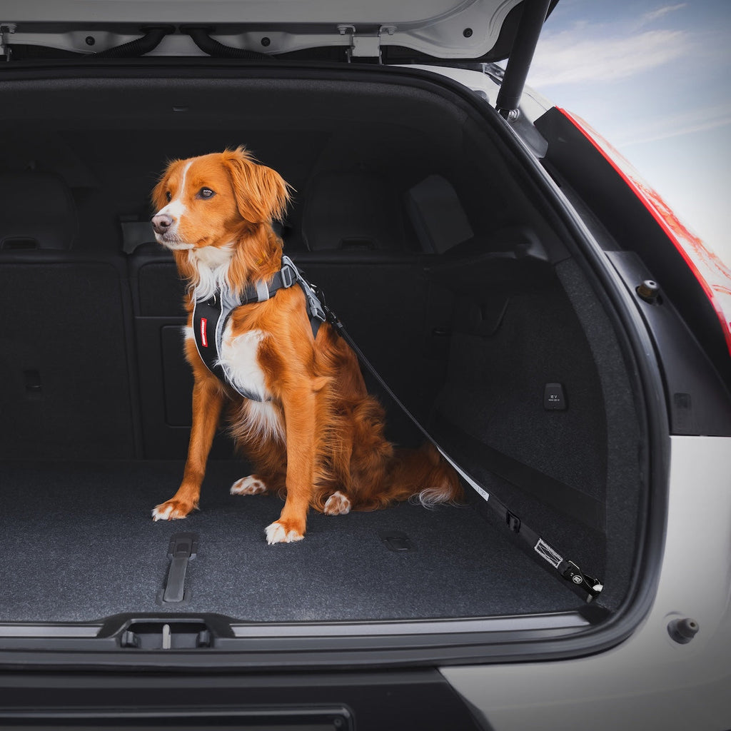 Click™ ISOFIX