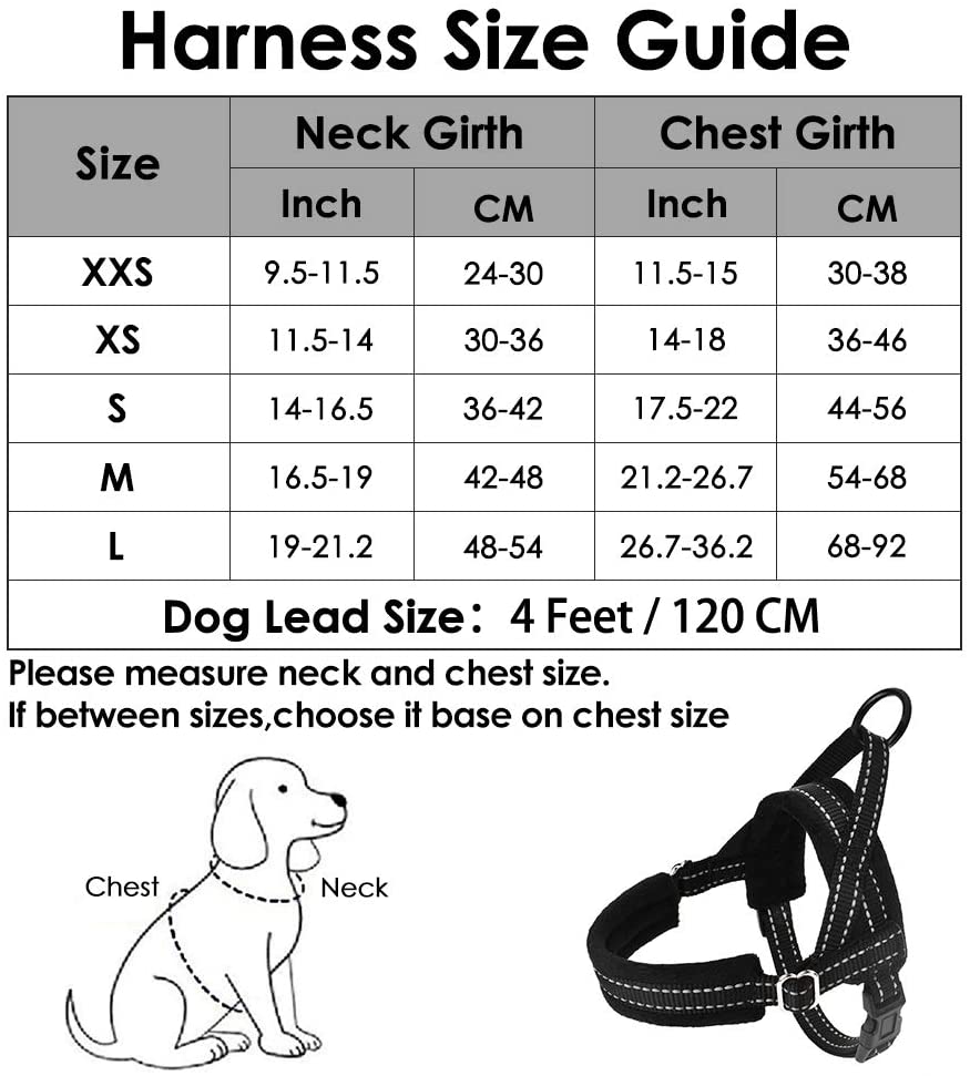 Small Dog Harness and Leash - Black