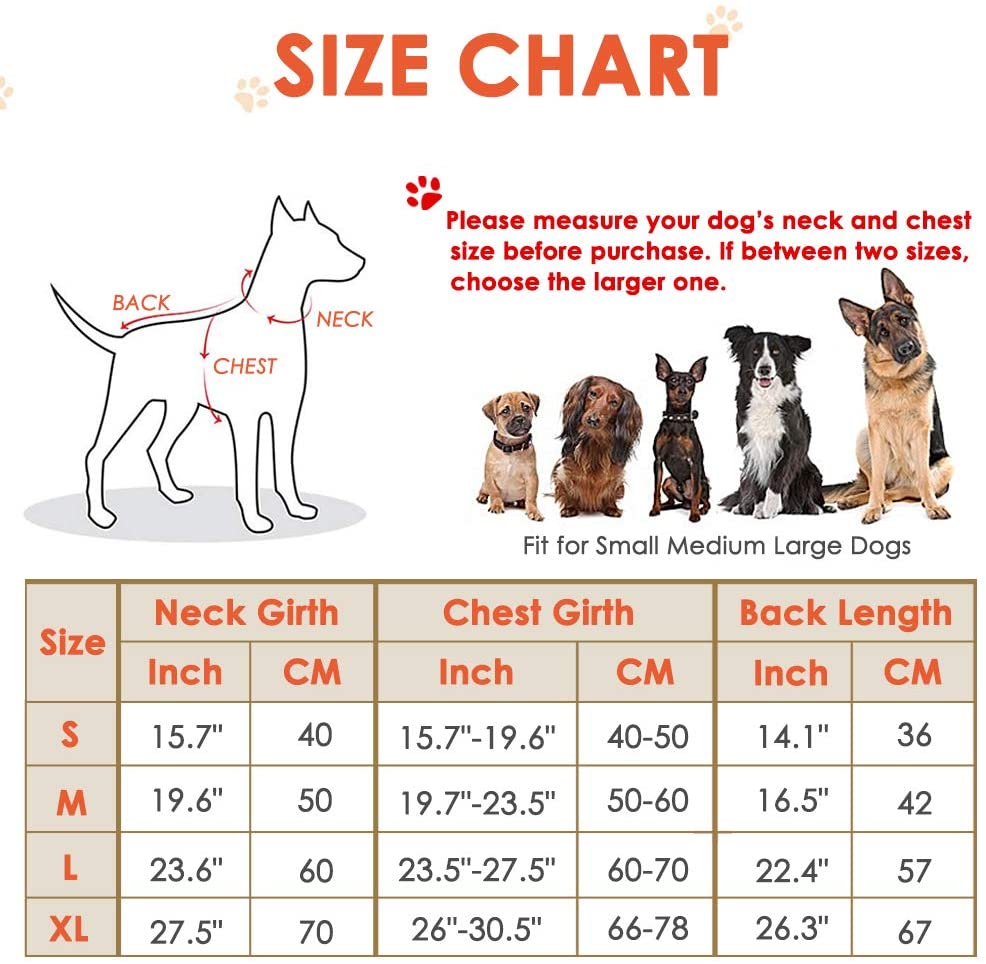 Winter Dog Coat - Grey