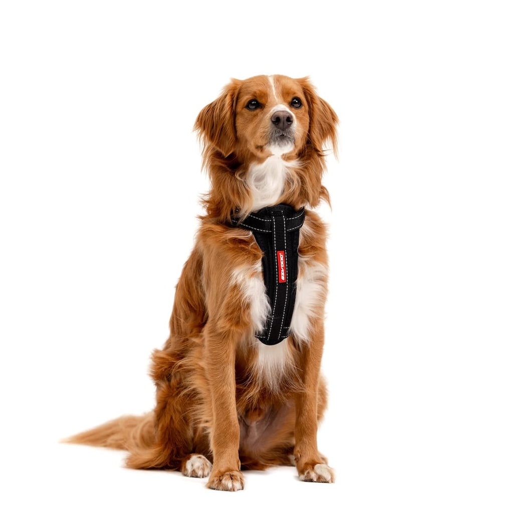 Chest Plate™ Dog Harness
