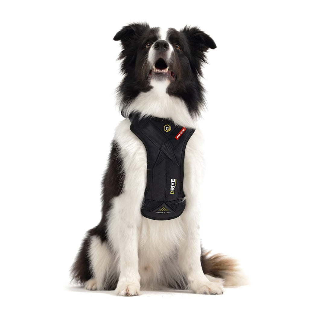 Drive™ Dog Car Harness