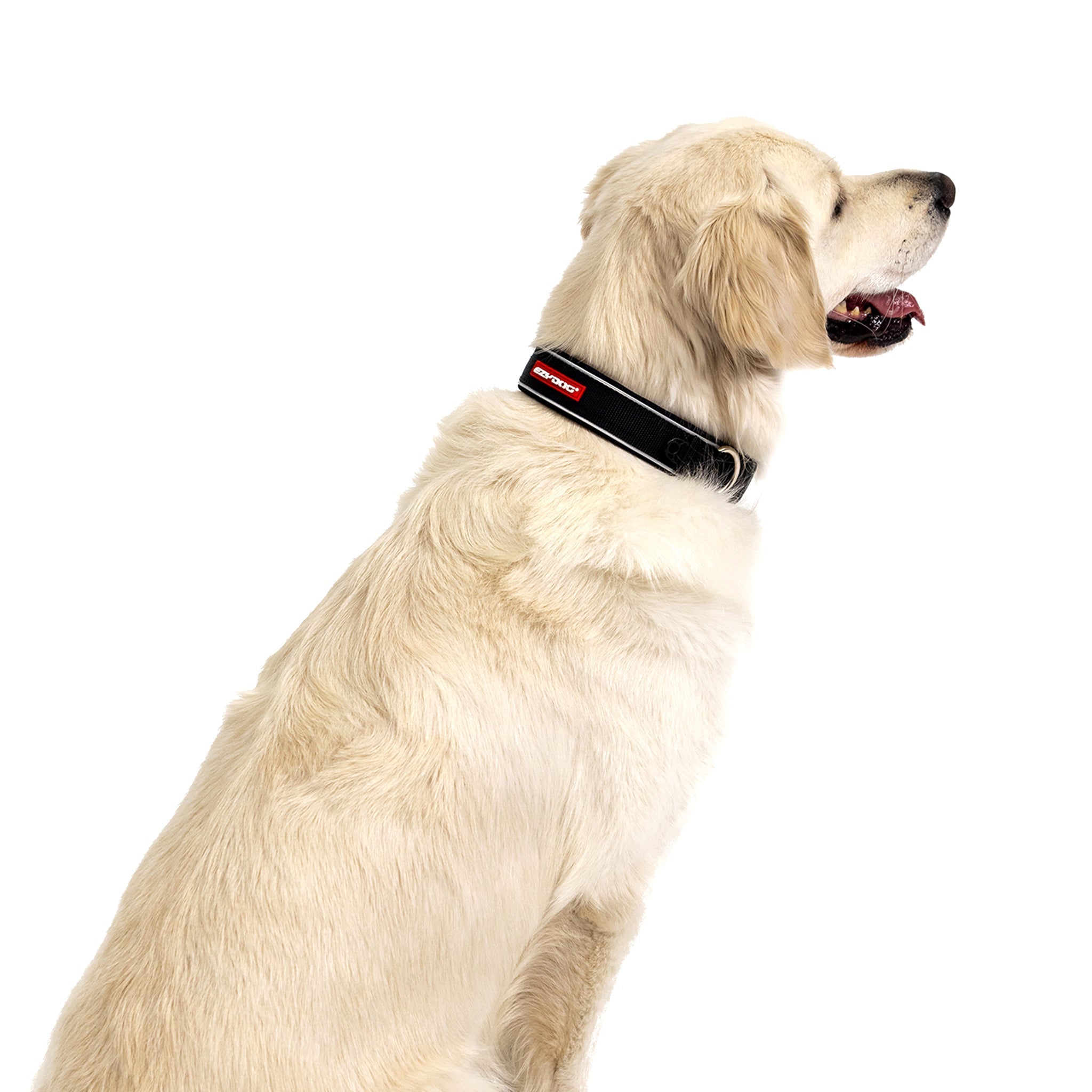Neo™ Collar