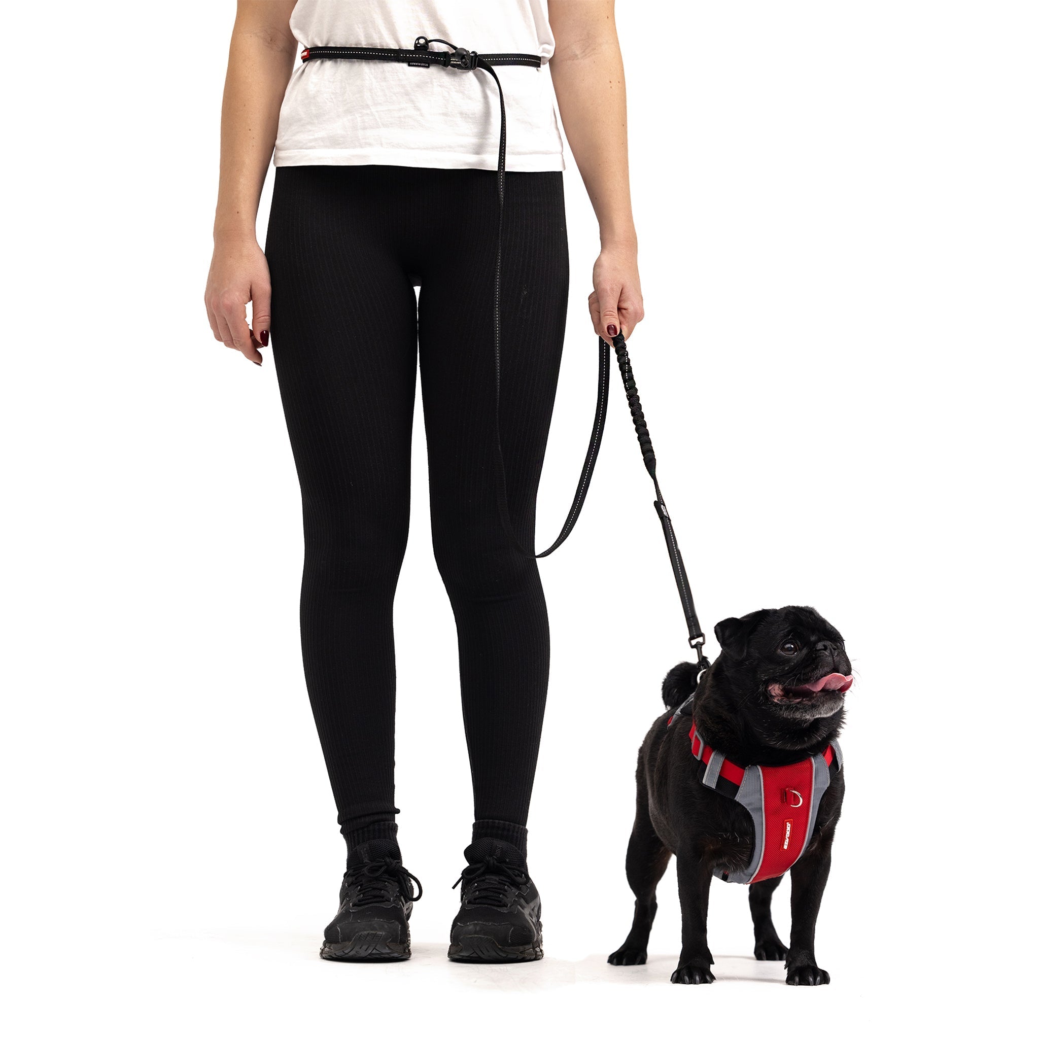 Road Runner™ Leash