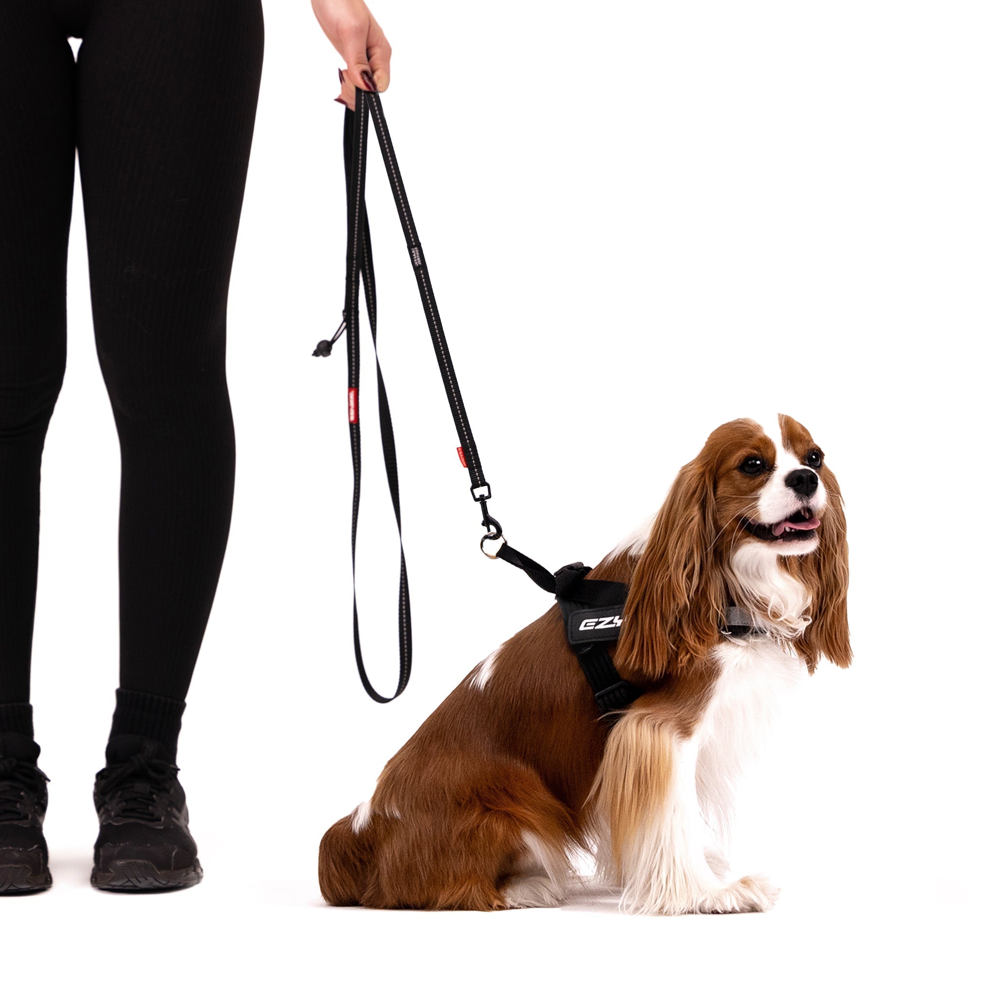 Soft Trainer™ Leash