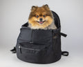 Oskar & Friends Premium Pet Backpack – Secure, Stylish, Travel-Ready