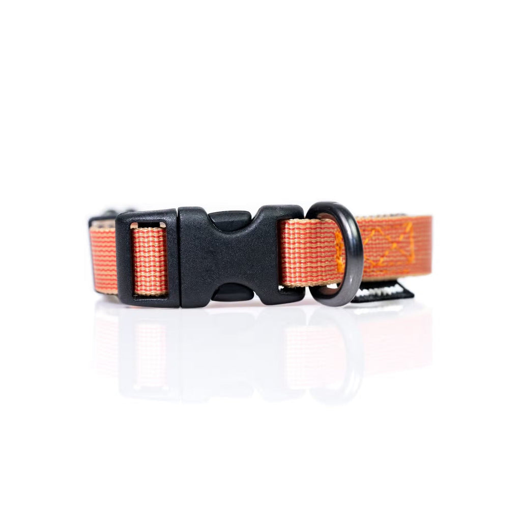 Sleepypod Everyday Collar