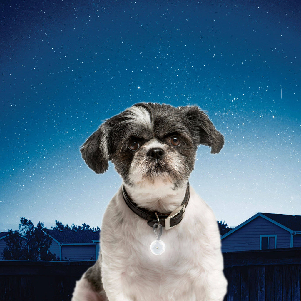 Nite Ize PetLit/SpotLit Collar Light