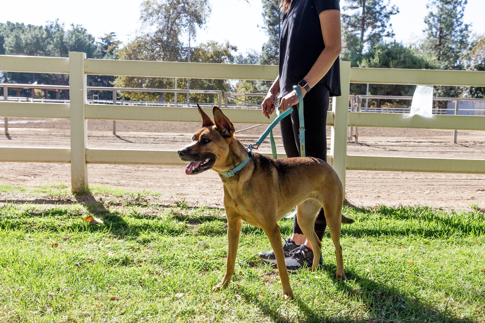 Sleepypod Power Leash