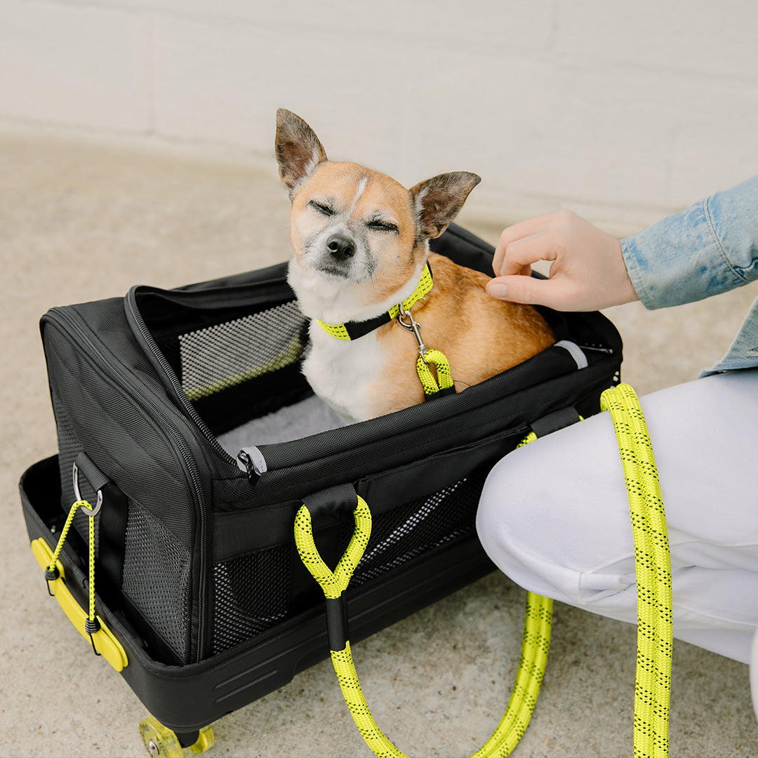 READY-TO-ROLL PET CARRIER WHEEL BASE