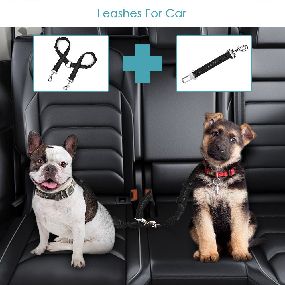 2 in 1 Double Dog Leash + Car Seat Belt - Black