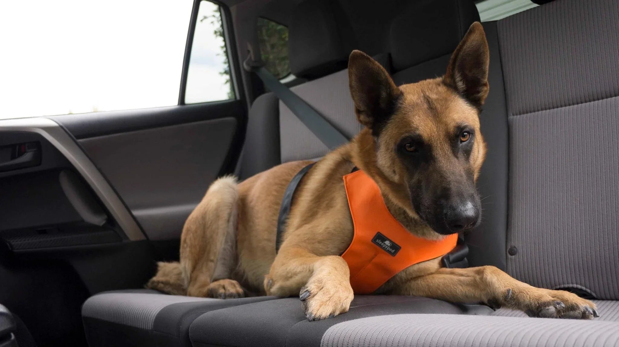Sleepypod Clickit Sport Plus Crash-Tested Car & Walking Harness