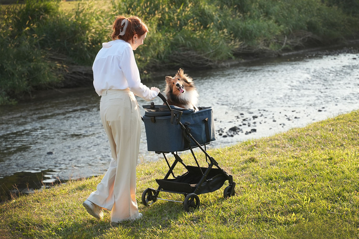 ibiyaya® Essential – Travois Tri-fold Pet Travel System XL, Pet Stroller with Detachable Carrier