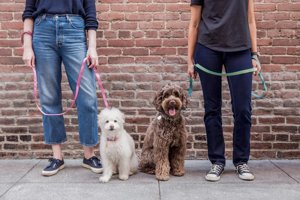 Sleepypod Power Leash