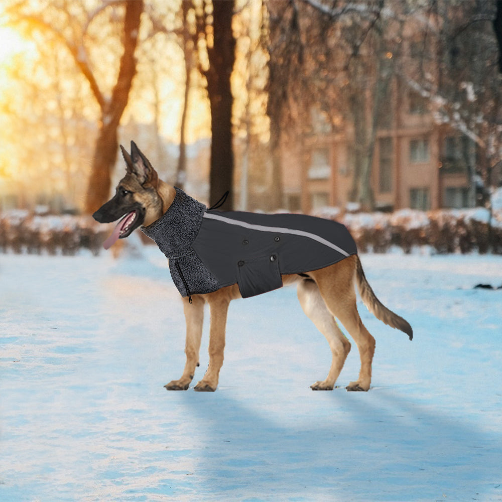 Winter Dog Coat - Grey