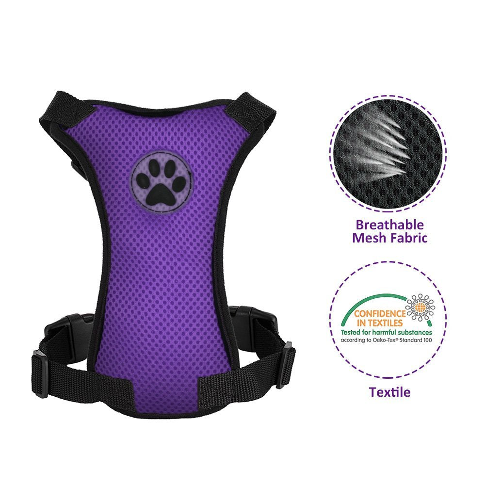 Dog Car Harness &  Seat Belt - Seatbelt Purple