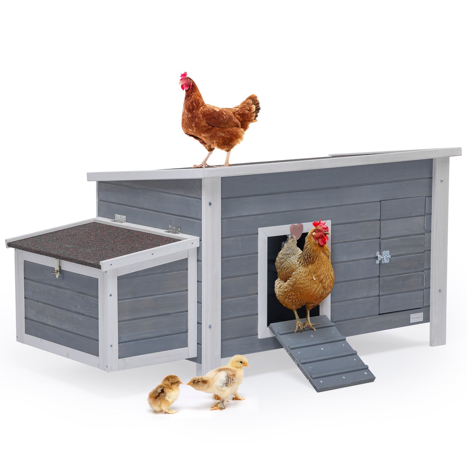 PETSFIT Chicken Coops For Sale Upgraded PerchesWooden Outdoor