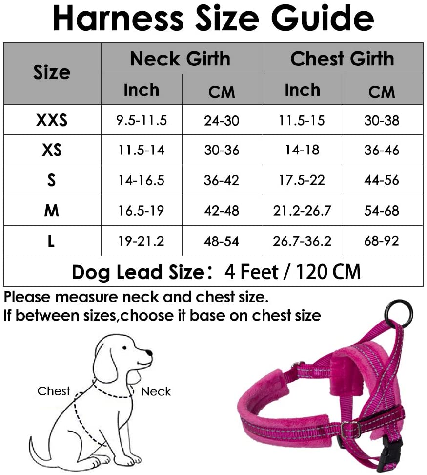Small Dog Harness and Leash - Fuchsia