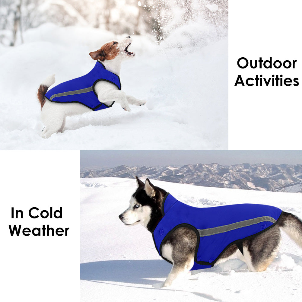 Winter Dog Jacket - Blue