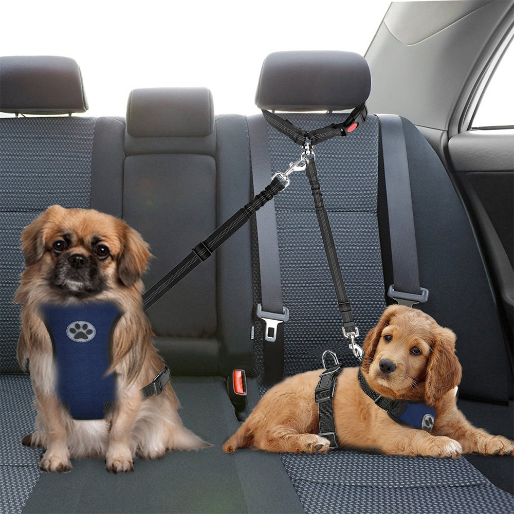Removable Double Dog Seat Belt - Black
