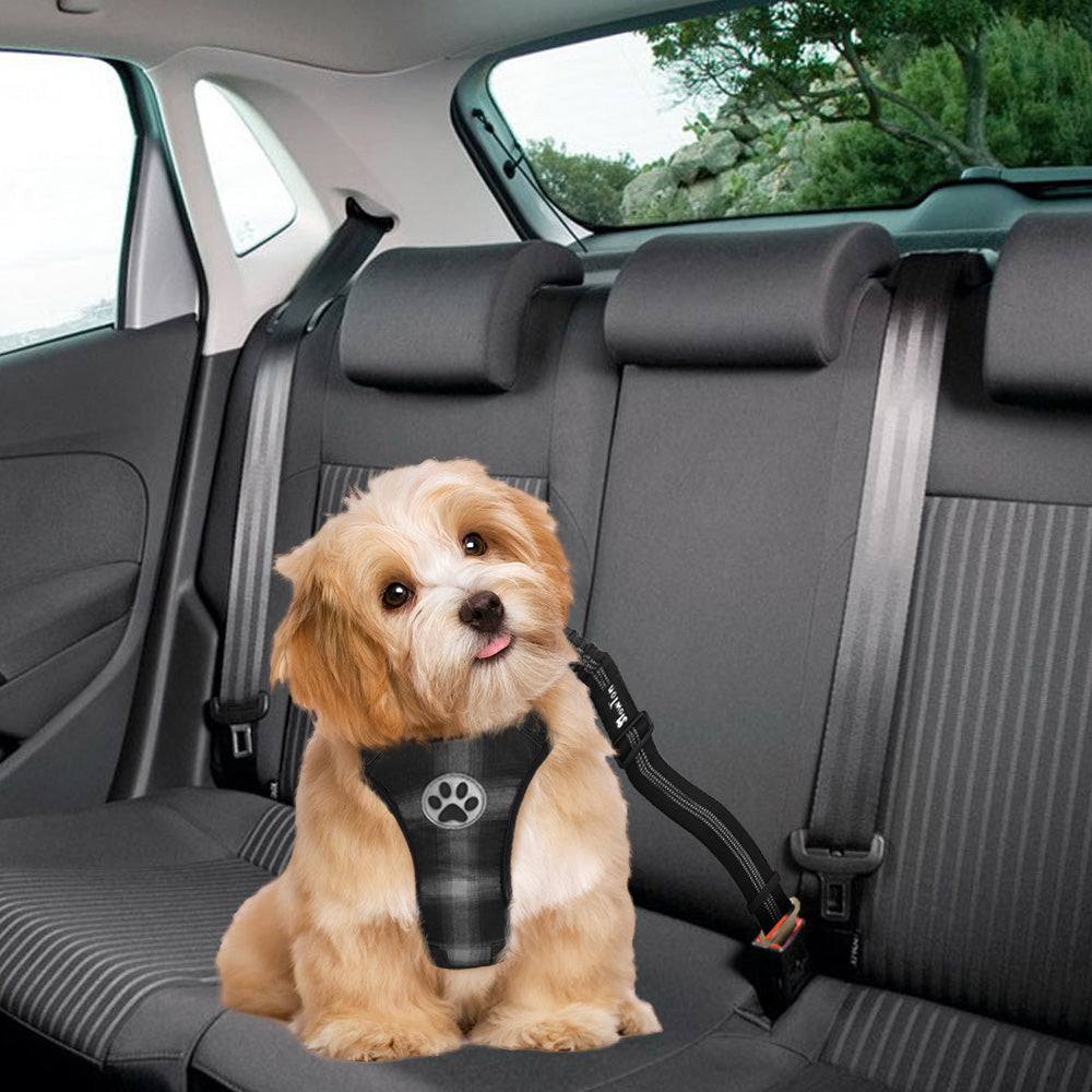 Dog Car Harness & Seat Belt - Plaid Grey & Black