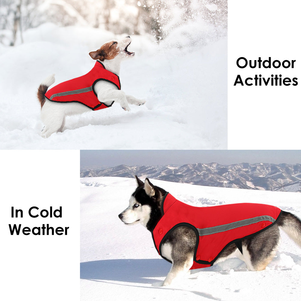 Winter Dog Jacket - Red